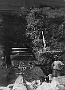 Padova,piazza Cavour-Scavi archeologici della fine degli anni 20. (foto Gabinetto Fotografico Musei Civici) (Adriano Danieli)